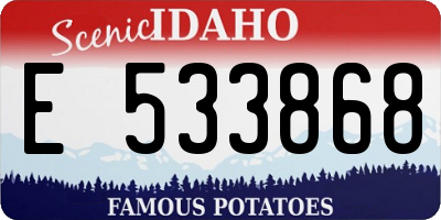 ID license plate E533868