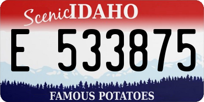 ID license plate E533875
