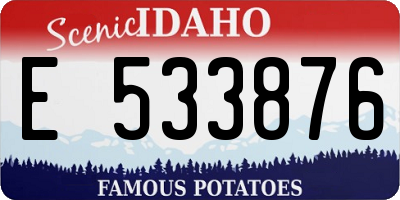 ID license plate E533876