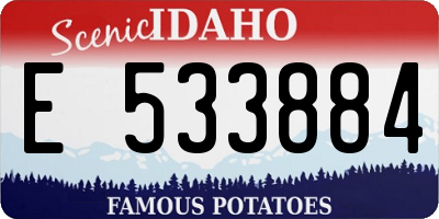 ID license plate E533884