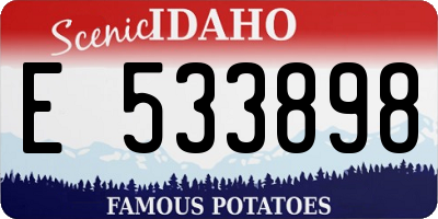 ID license plate E533898