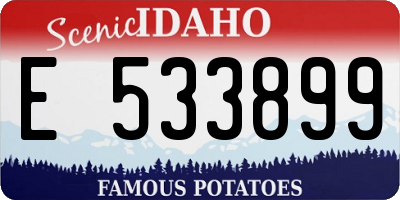 ID license plate E533899