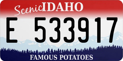 ID license plate E533917
