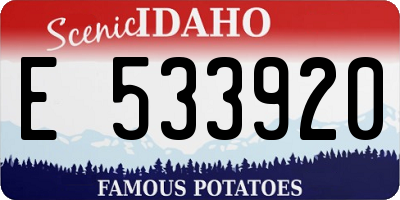 ID license plate E533920