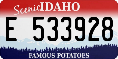ID license plate E533928