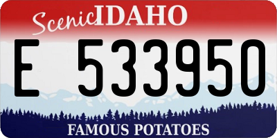 ID license plate E533950