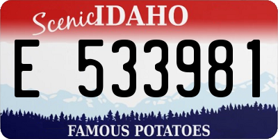 ID license plate E533981