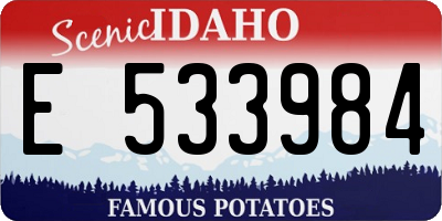 ID license plate E533984