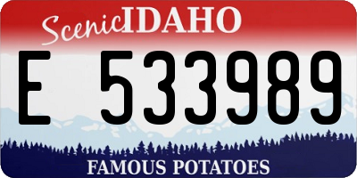 ID license plate E533989