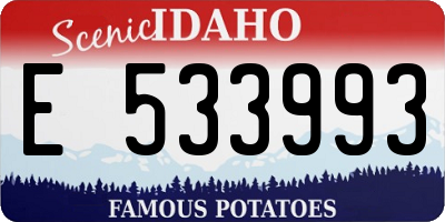 ID license plate E533993