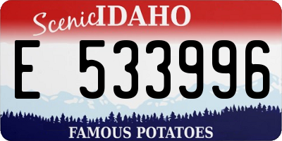 ID license plate E533996