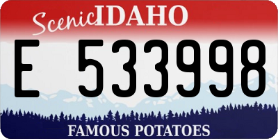 ID license plate E533998