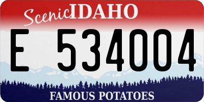 ID license plate E534004