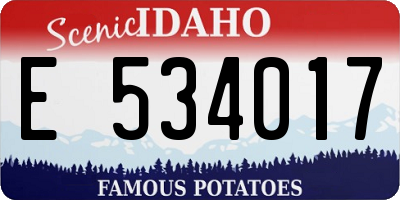 ID license plate E534017