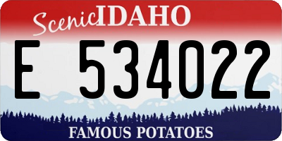 ID license plate E534022