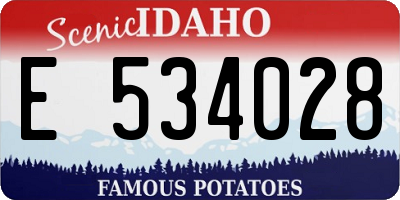 ID license plate E534028
