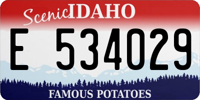 ID license plate E534029
