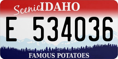 ID license plate E534036