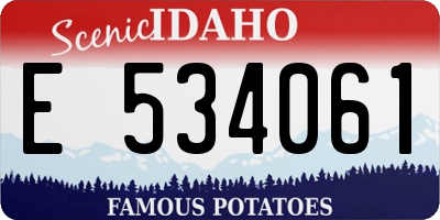 ID license plate E534061