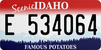ID license plate E534064