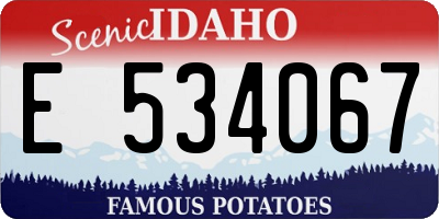 ID license plate E534067