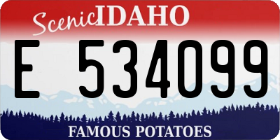 ID license plate E534099