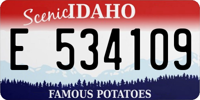 ID license plate E534109