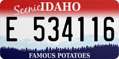 ID license plate E534116