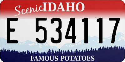 ID license plate E534117