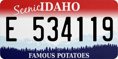 ID license plate E534119