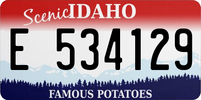 ID license plate E534129
