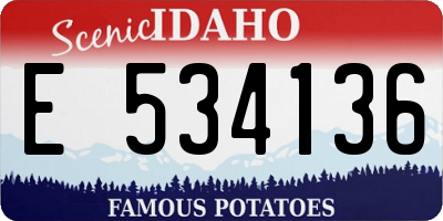 ID license plate E534136