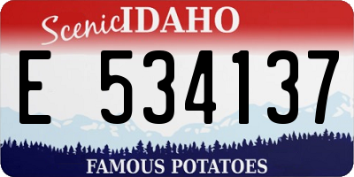 ID license plate E534137