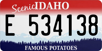 ID license plate E534138