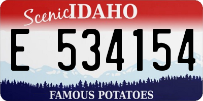 ID license plate E534154