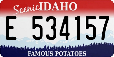 ID license plate E534157