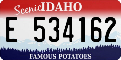 ID license plate E534162