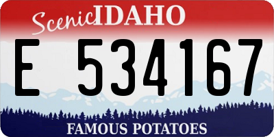 ID license plate E534167
