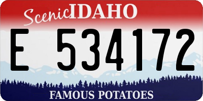 ID license plate E534172