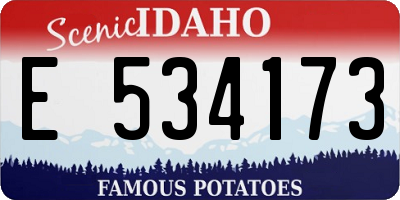 ID license plate E534173