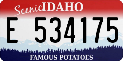 ID license plate E534175