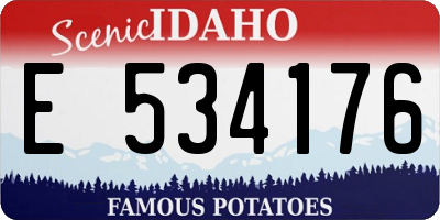 ID license plate E534176