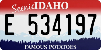 ID license plate E534197