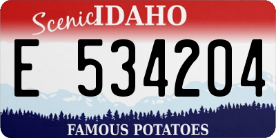 ID license plate E534204