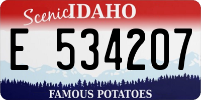 ID license plate E534207