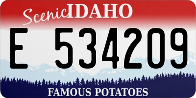 ID license plate E534209