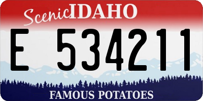 ID license plate E534211