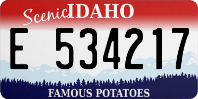 ID license plate E534217
