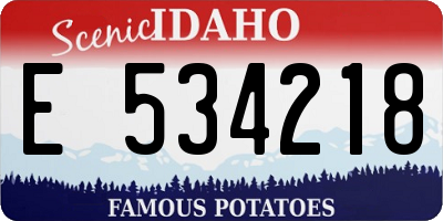 ID license plate E534218