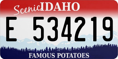 ID license plate E534219